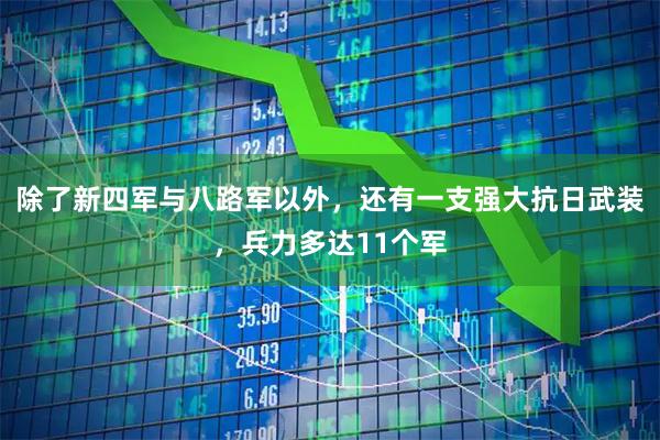 除了新四军与八路军以外，还有一支强大抗日武装，兵力多达11个军