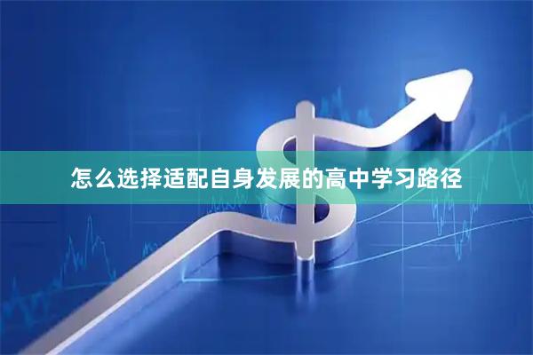 怎么选择适配自身发展的高中学习路径