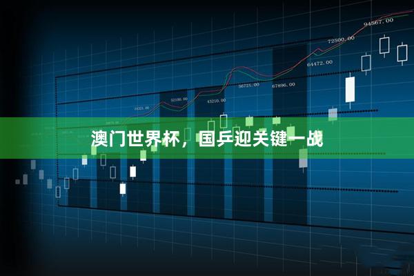 澳门世界杯，国乒迎关键一战