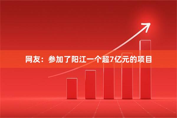网友：参加了阳江一个超7亿元的项目