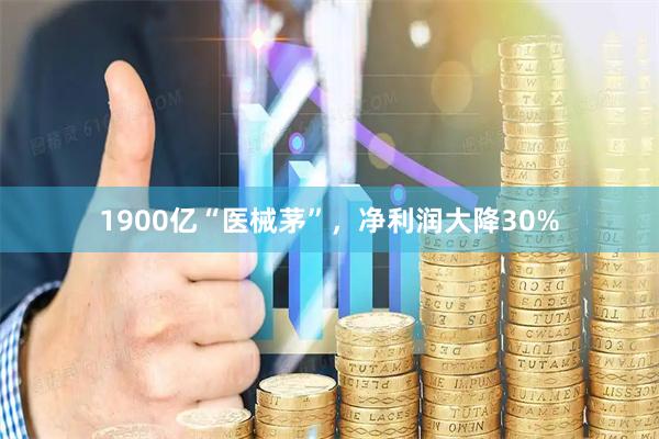 1900亿“医械茅”，净利润大降30%